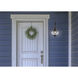 Classic Onion 1 Light 16 inch Gunmetal with Clear Outdoor Wall Sconce in Gun Metal, Seedy, Small