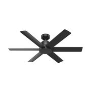 Outdoor Fans