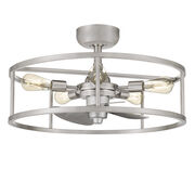 Indoor Ceiling Fans