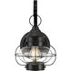 Cottage Onion 1 Light 13.75 inch Black Outdoor Wall in Clear, Small