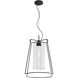 Cere 1 Light 14.25 inch Matte Black with Clear Pendant Ceiling Light