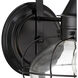 Cottage Onion 1 Light 15.75 inch Black Outdoor Wall in Clear, Large