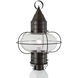 Classic Onion 1 Light 22.5 inch Bronze with Clear Outdoor Post Light, Large