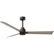 Indoor Ceiling Fans