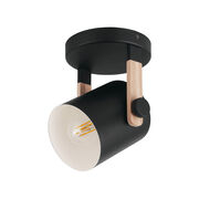 Semi-Flush Mounts