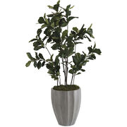 Planters & Plant Stands