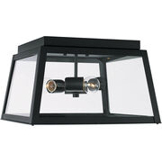 Outdoor Ceiling Lights